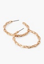 Molded Oval Chain Earrings