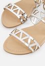 Aimee Cage Strap Flat Sandal