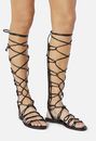 Earnesta Lace-Up Gladiator Sandal