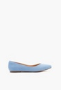 Amanda Pointed Toe Flat