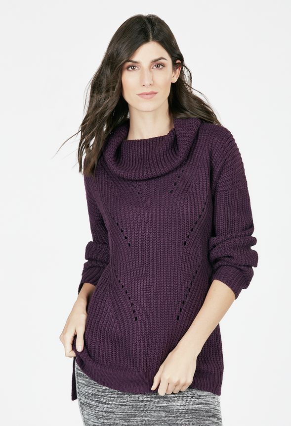 Cozy Turtleneck Tunic in Cozy Turtleneck Tunic - Get great deals at JustFab
