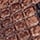 Brown Snake