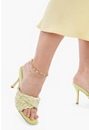 Anklet And Toe Ring Set